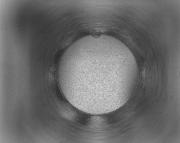 X0000068750218200605121618