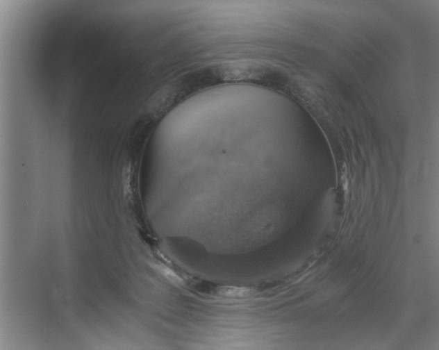 X0000068750219200605121618