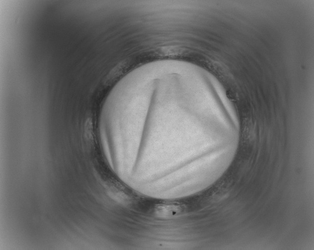 X0000068750220200605121618