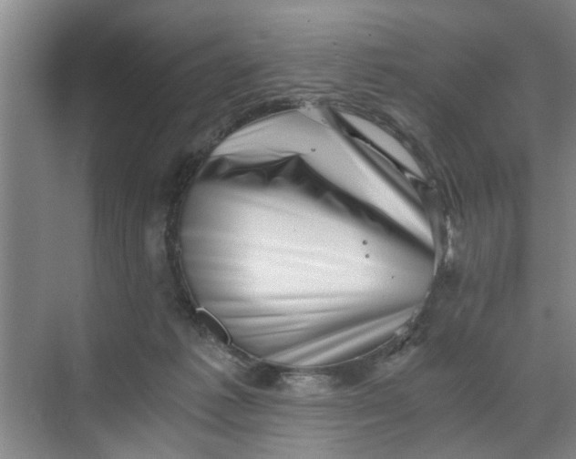 X0000068750221200605121618