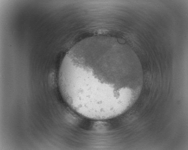 X0000068750222200605121618