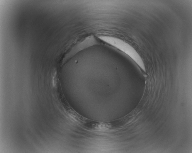 X0000068750223200605121618