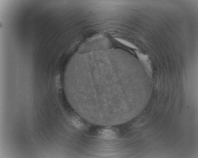 X0000068750224200605121618