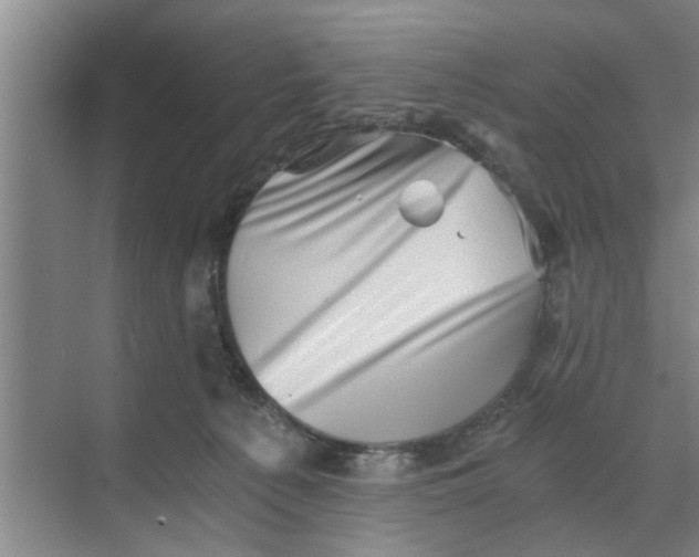 X0000068750225200605121618