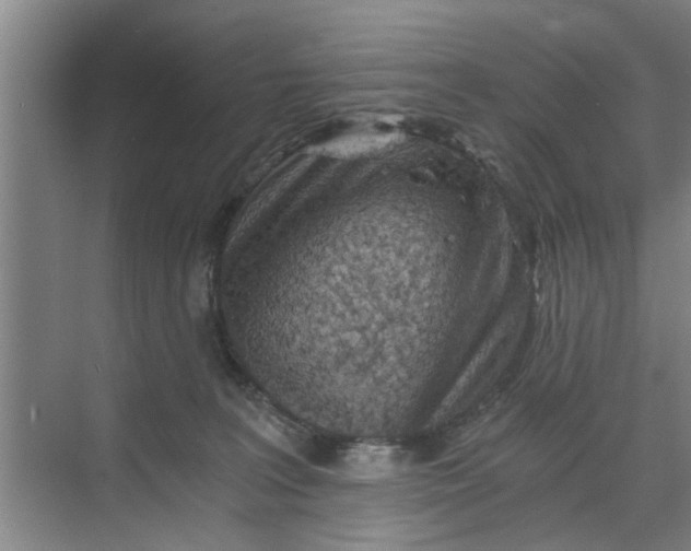 X0000068750227200605121618