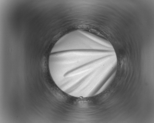 X0000068750228200605121618