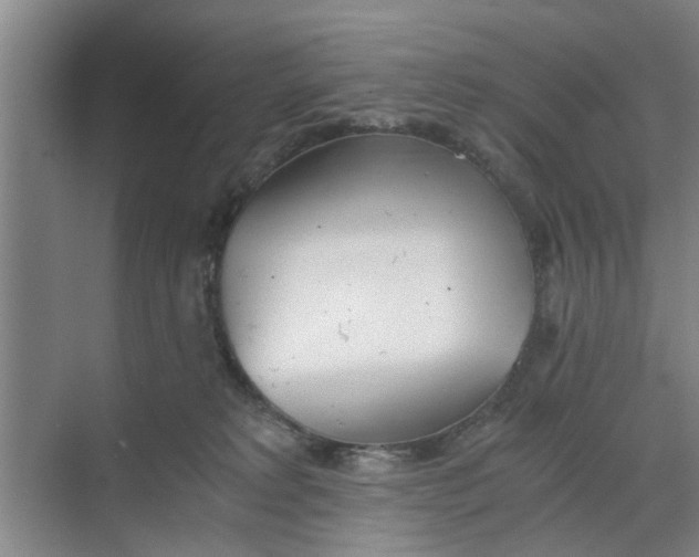 X0000068750229200605121618