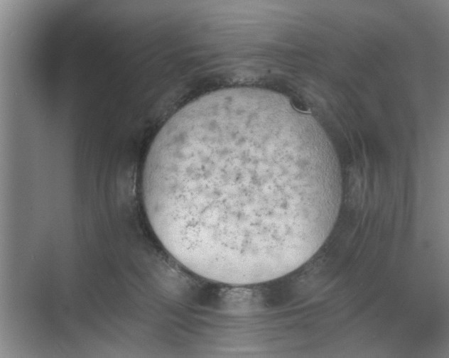 X0000068750230200605121618