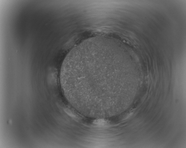 X0000068750231200605121618