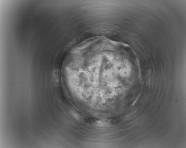 X0000068750232200605121618