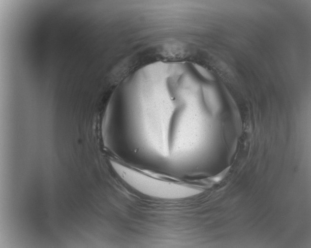 X0000068750233200605121618