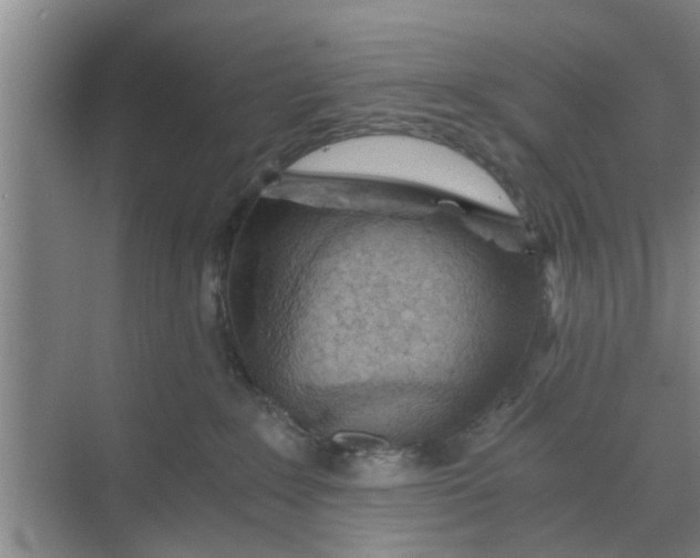 X0000068750235200605121618