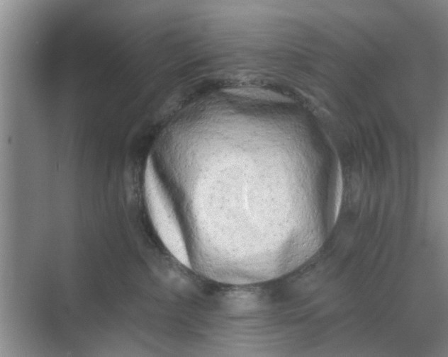 X0000068750236200605121618