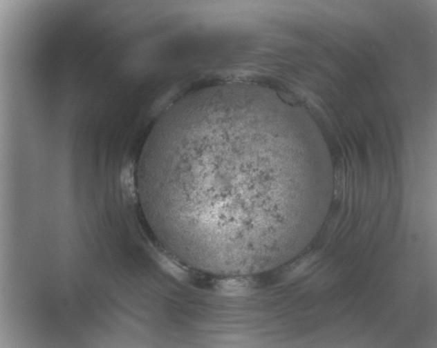 X0000068750238200605121618