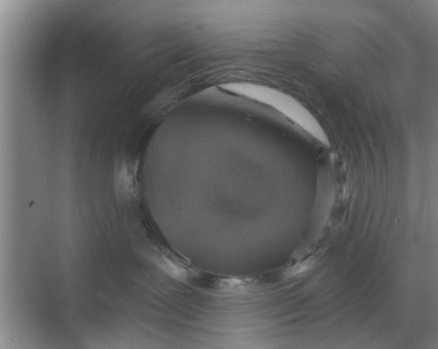 X0000068750239200605121618