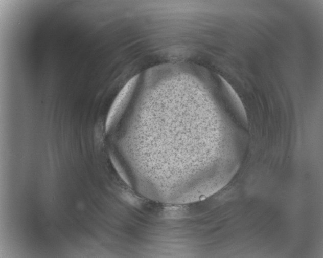 X0000068750240200605121618