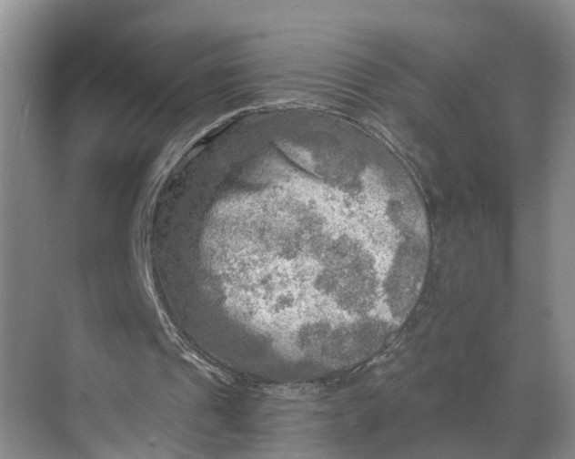 X0000068750241200605121617