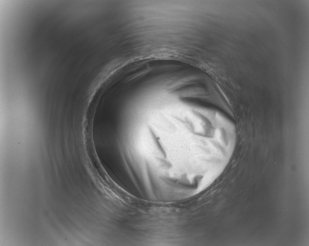 X0000068750242200605121617