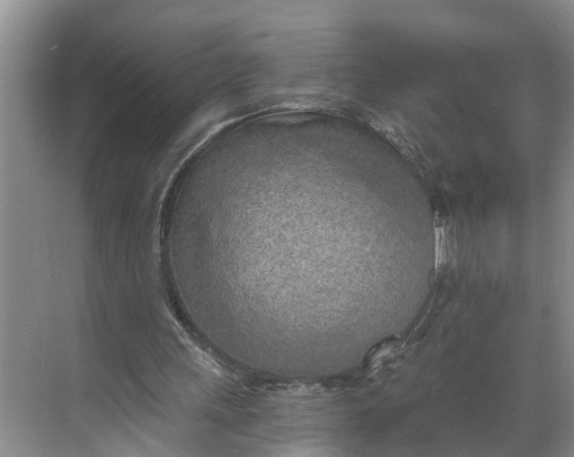 X0000068750243200605121617