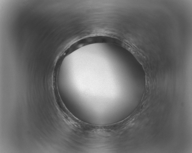 X0000068750244200605121617