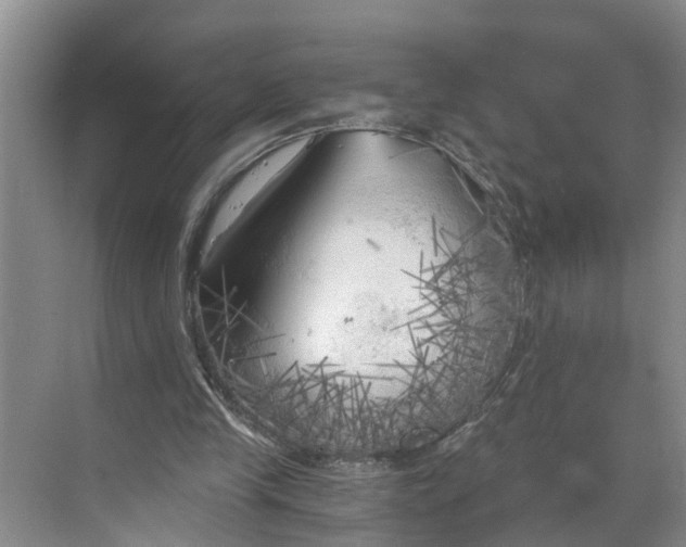 X0000068750245200605121617