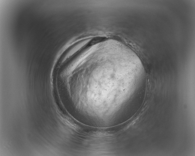 X0000068750246200605121617