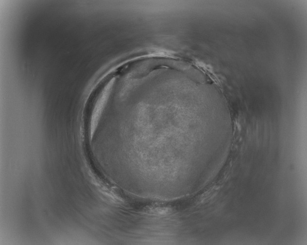 X0000068750247200605121617