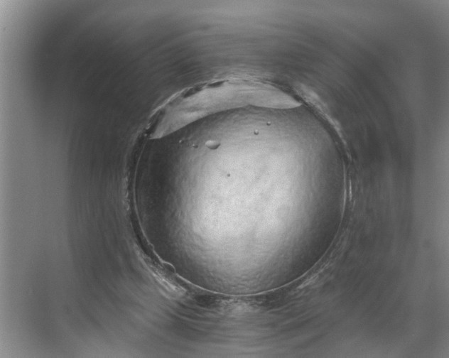 X0000068750249200605121617