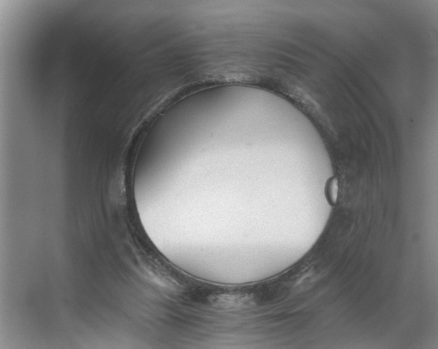 X0000068750251200605121617