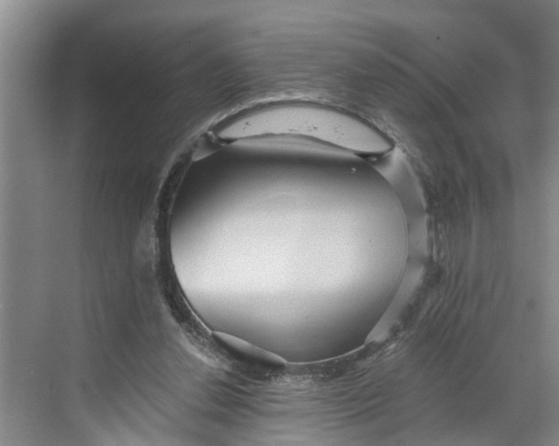 X0000068750252200605121617