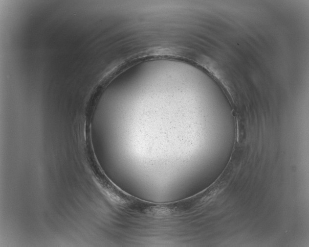 X0000068750253200605121617