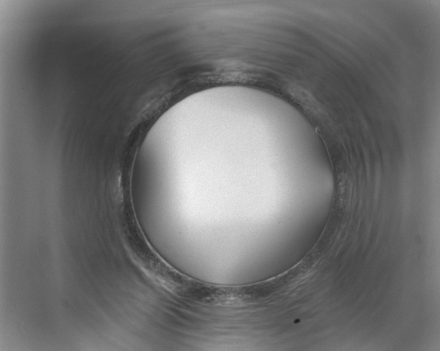 X0000068750254200605121617