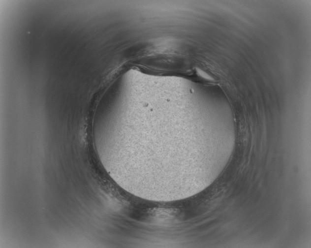 X0000068750255200605121617