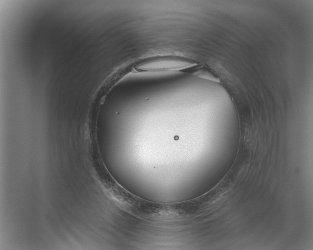 X0000068750256200605121617