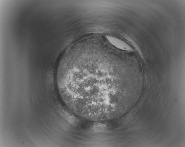 X0000068750257200605121617