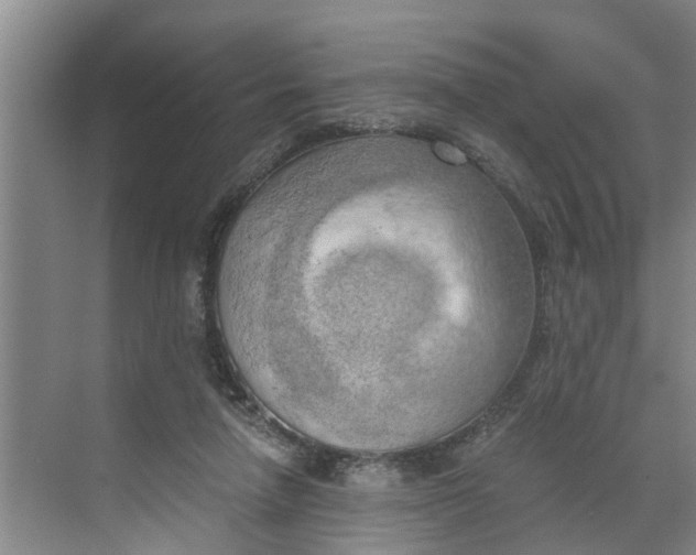 X0000068750258200605121617