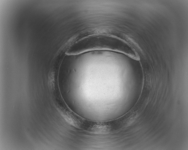 X0000068750260200605121617