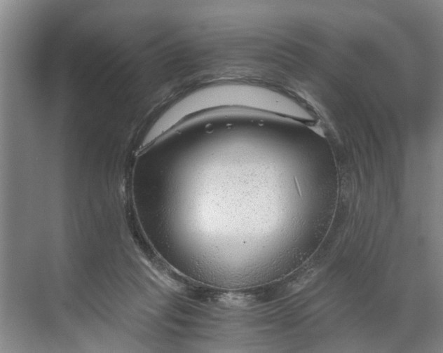 X0000068750261200605121617