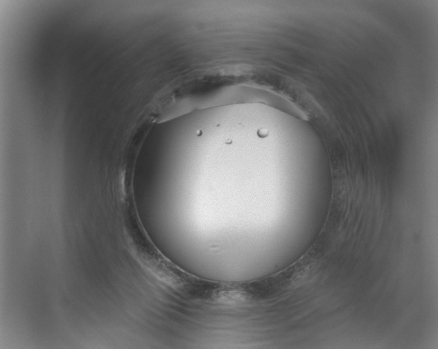 X0000068750262200605121617