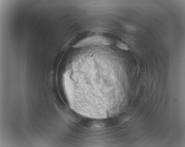 X0000068750263200605121617