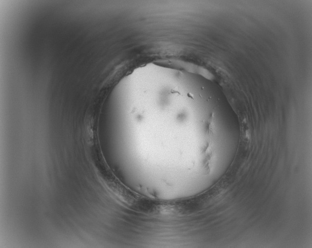 X0000068750264200605121617