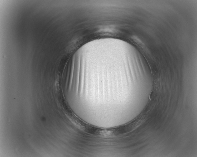 X0000068750265200605121617