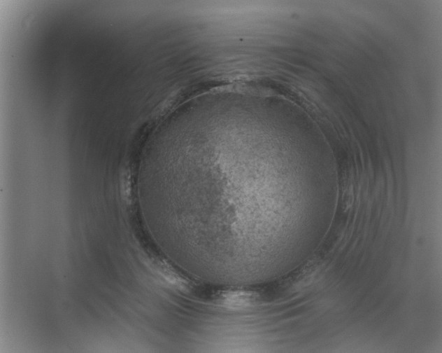 X0000068750268200605121617