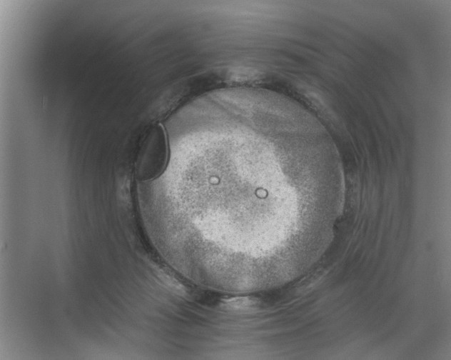 X0000068750269200605121617