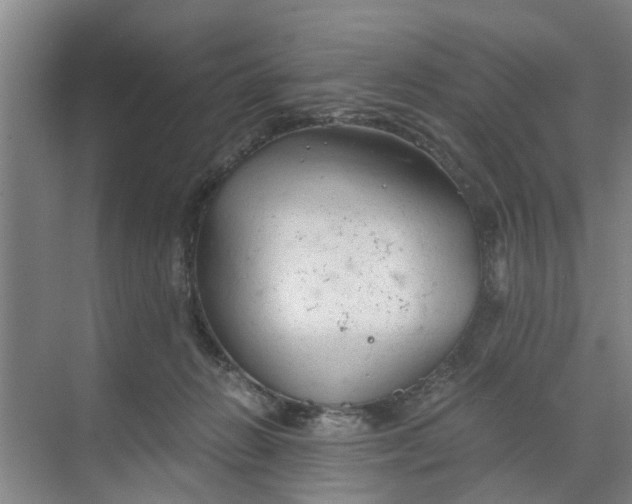 X0000068750270200605121617