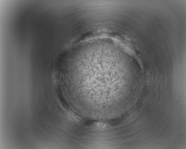 X0000068750272200605121617