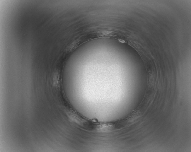 X0000068750274200605121617