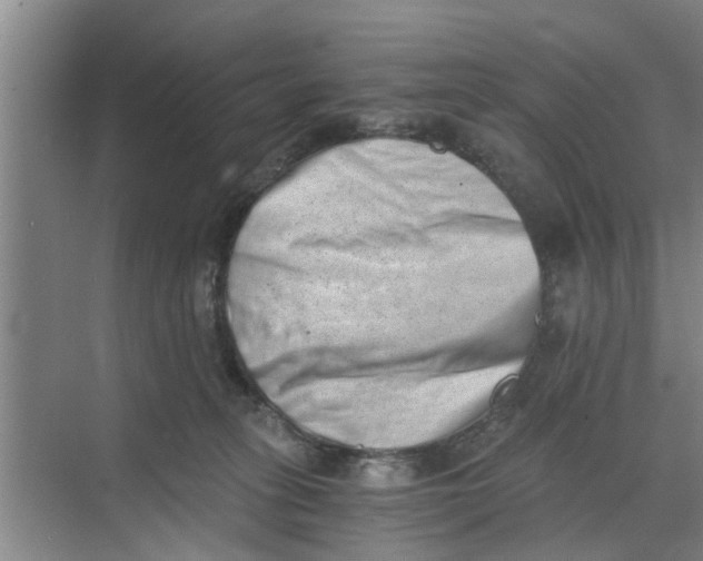 X0000068750275200605121617