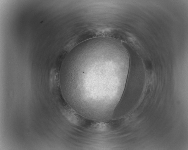 X0000068750276200605121617