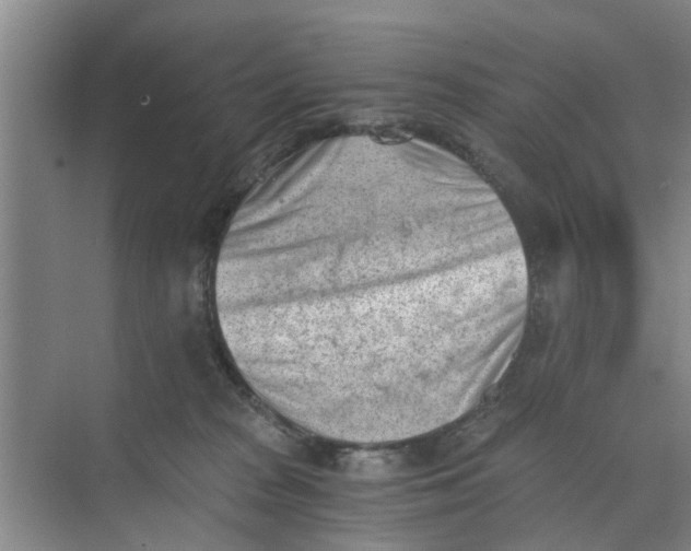 X0000068750277200605121617